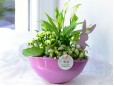 Green Serenity - aranjament cu plante